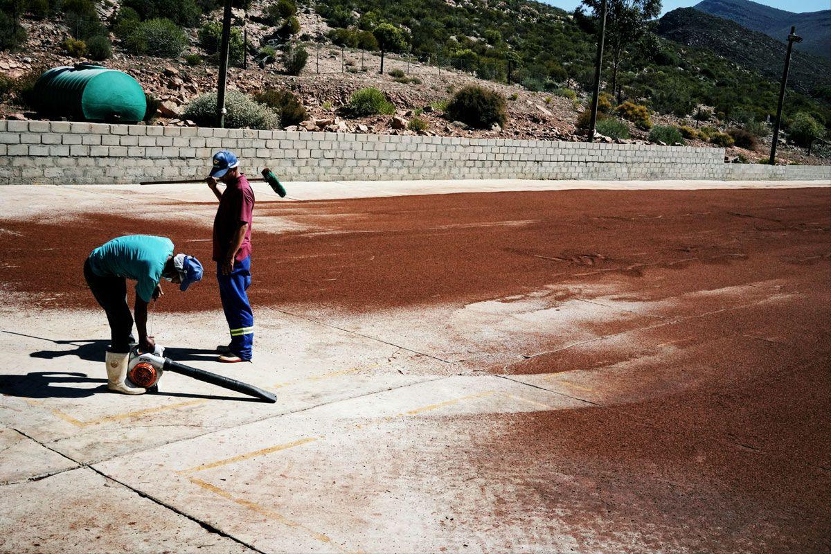 Alt-text is missing.