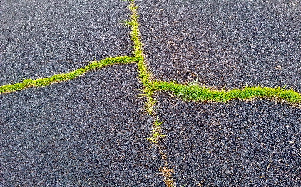 Alt-text is missing.