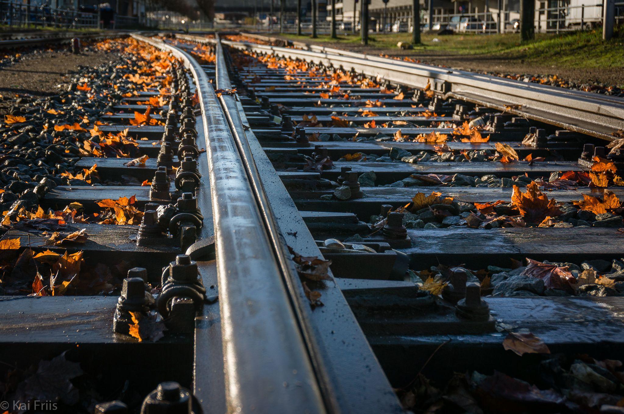 Alt-text is missing.