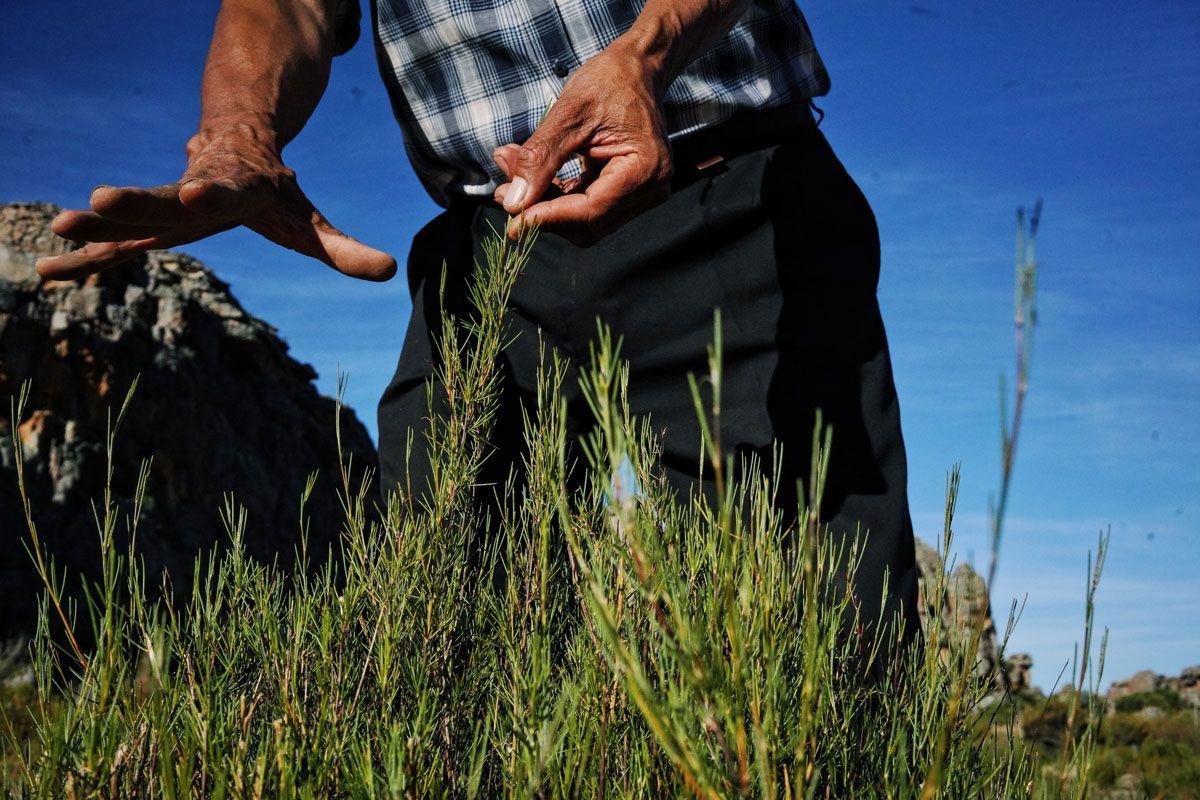 Alt-text is missing.