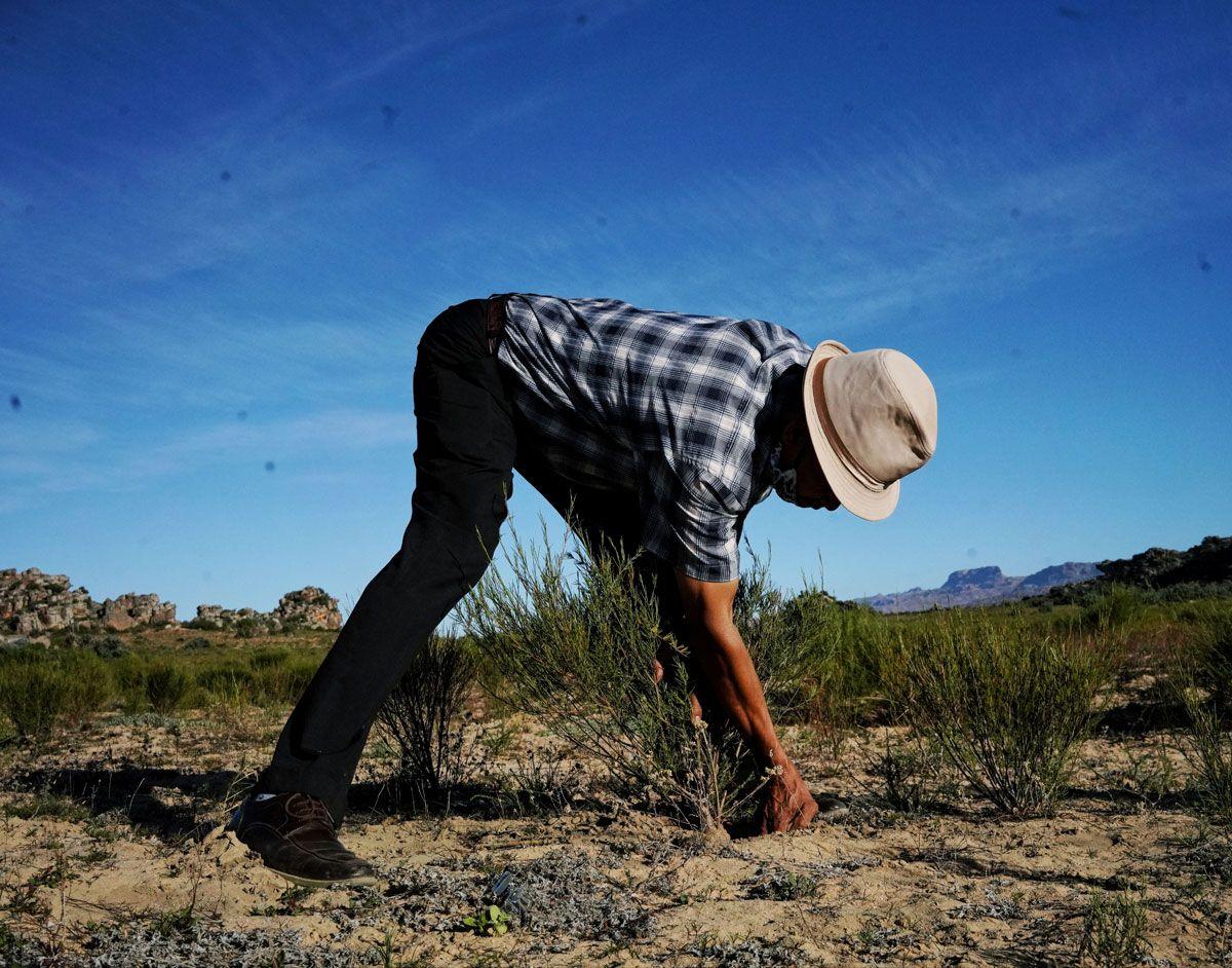 Alt-text is missing.