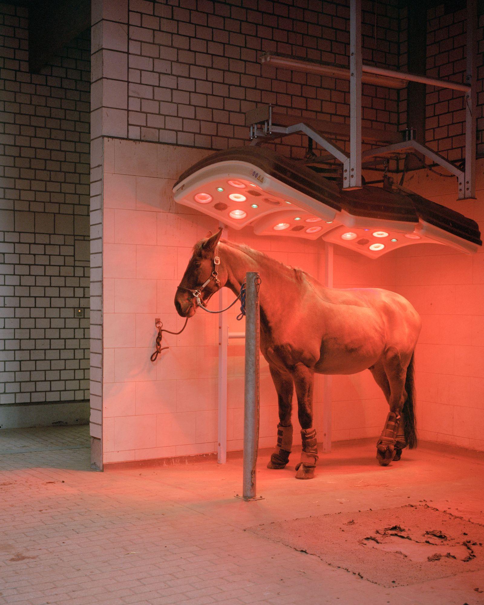 Alt-text is missing.