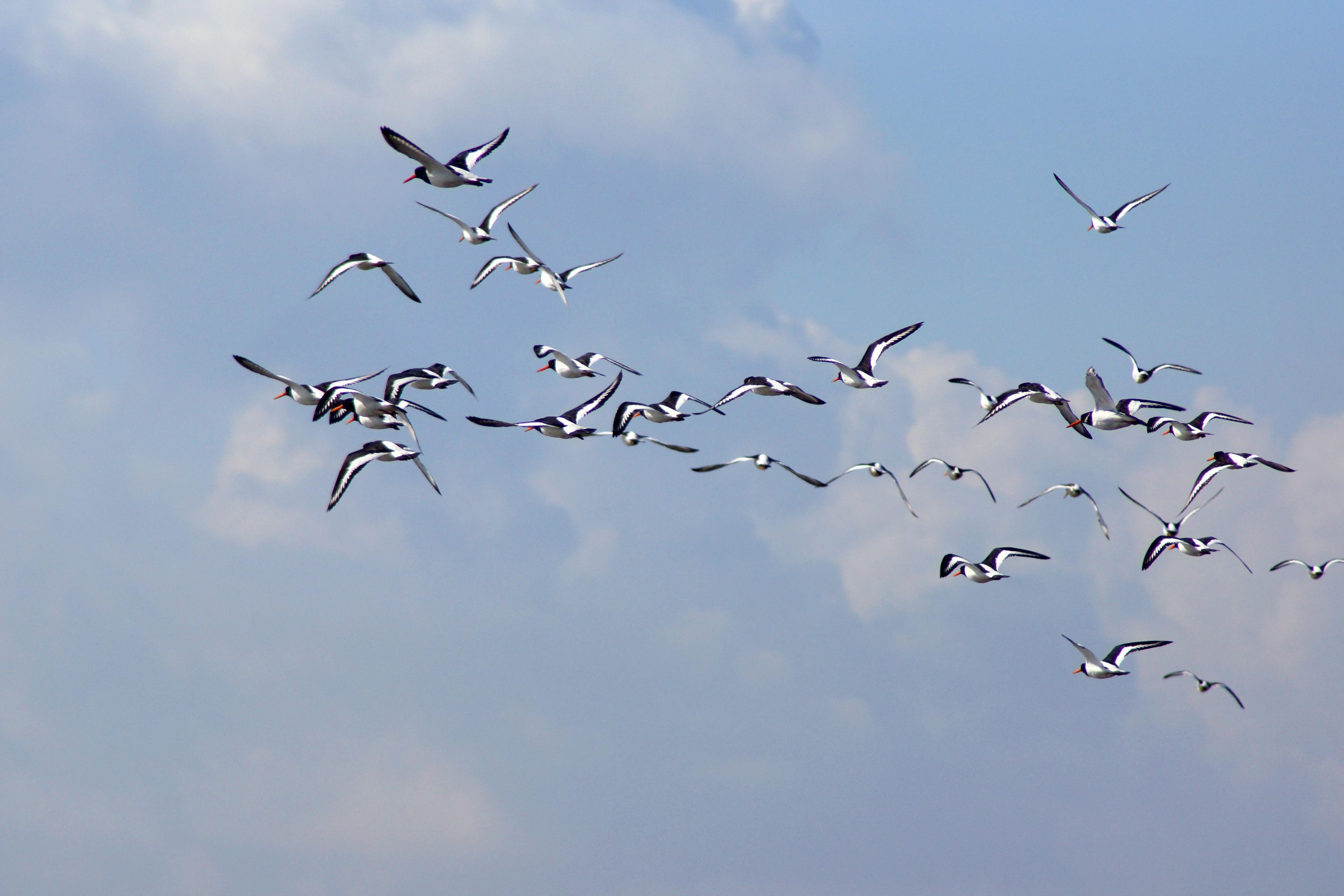 Alt-text is missing.