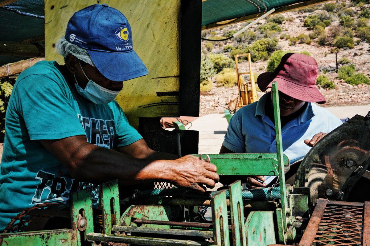 Alt-text is missing.