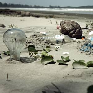 Alt-text is missing.