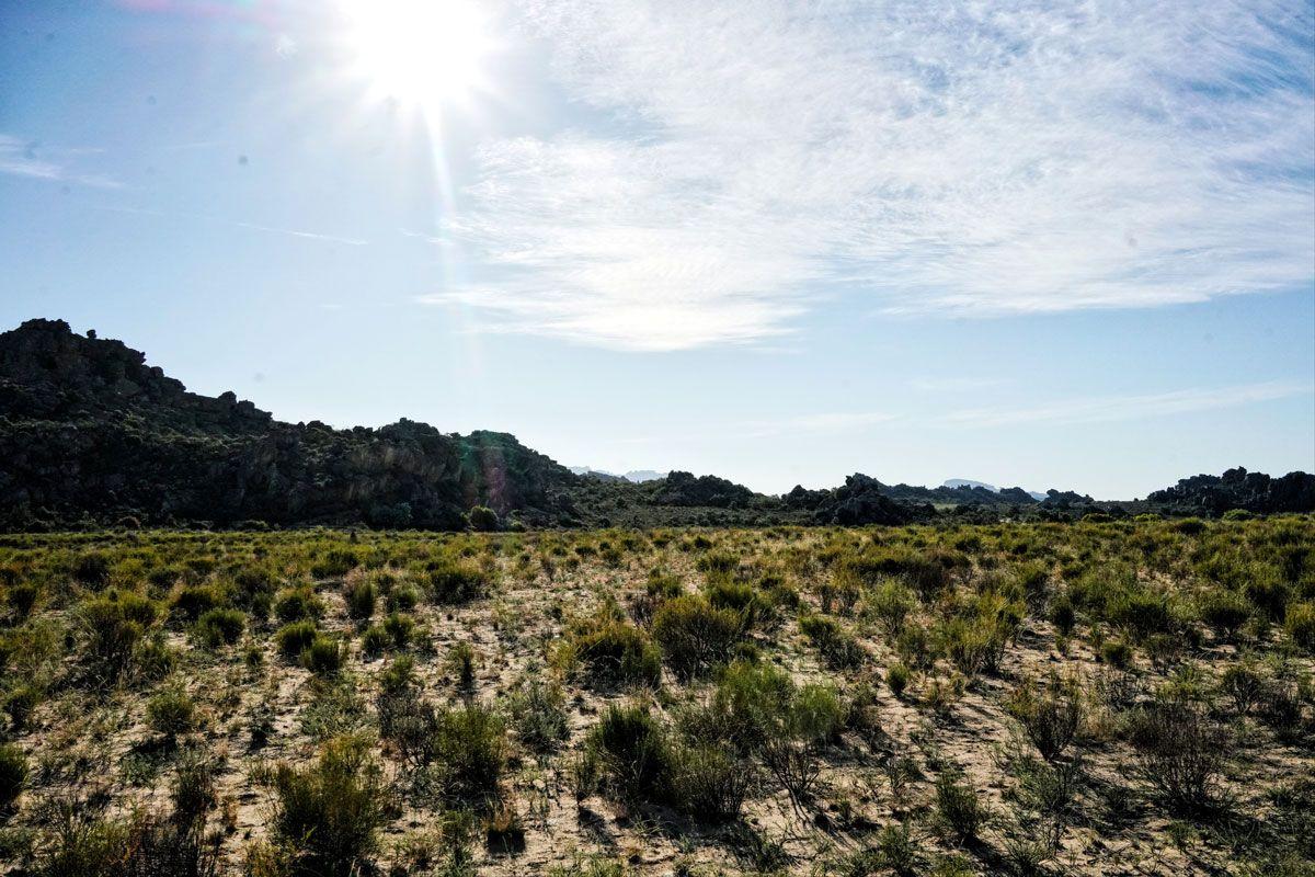 Alt-text is missing.