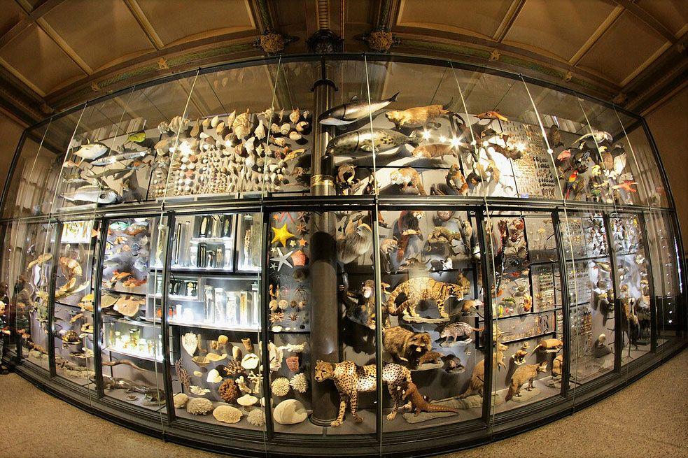 Alt-text is missing.